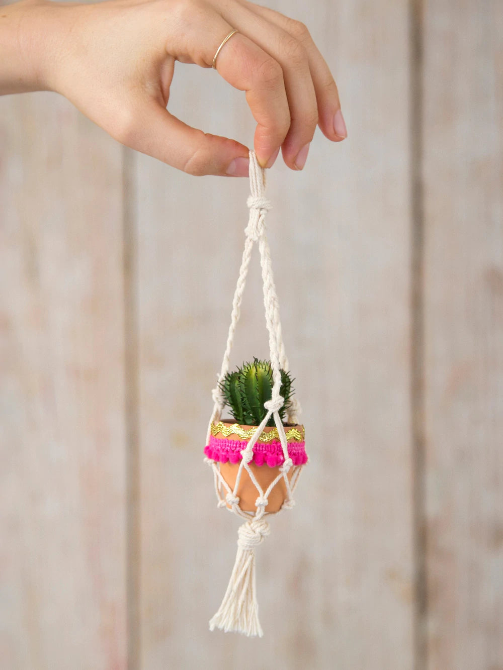 Cream Natural Life Mini Macrame Hanging Faux Succulent