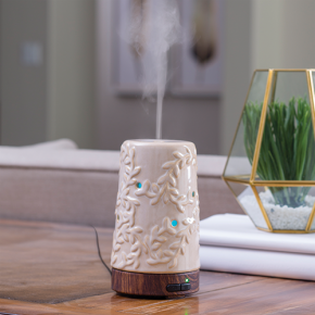 Flourish Airome Diffuser