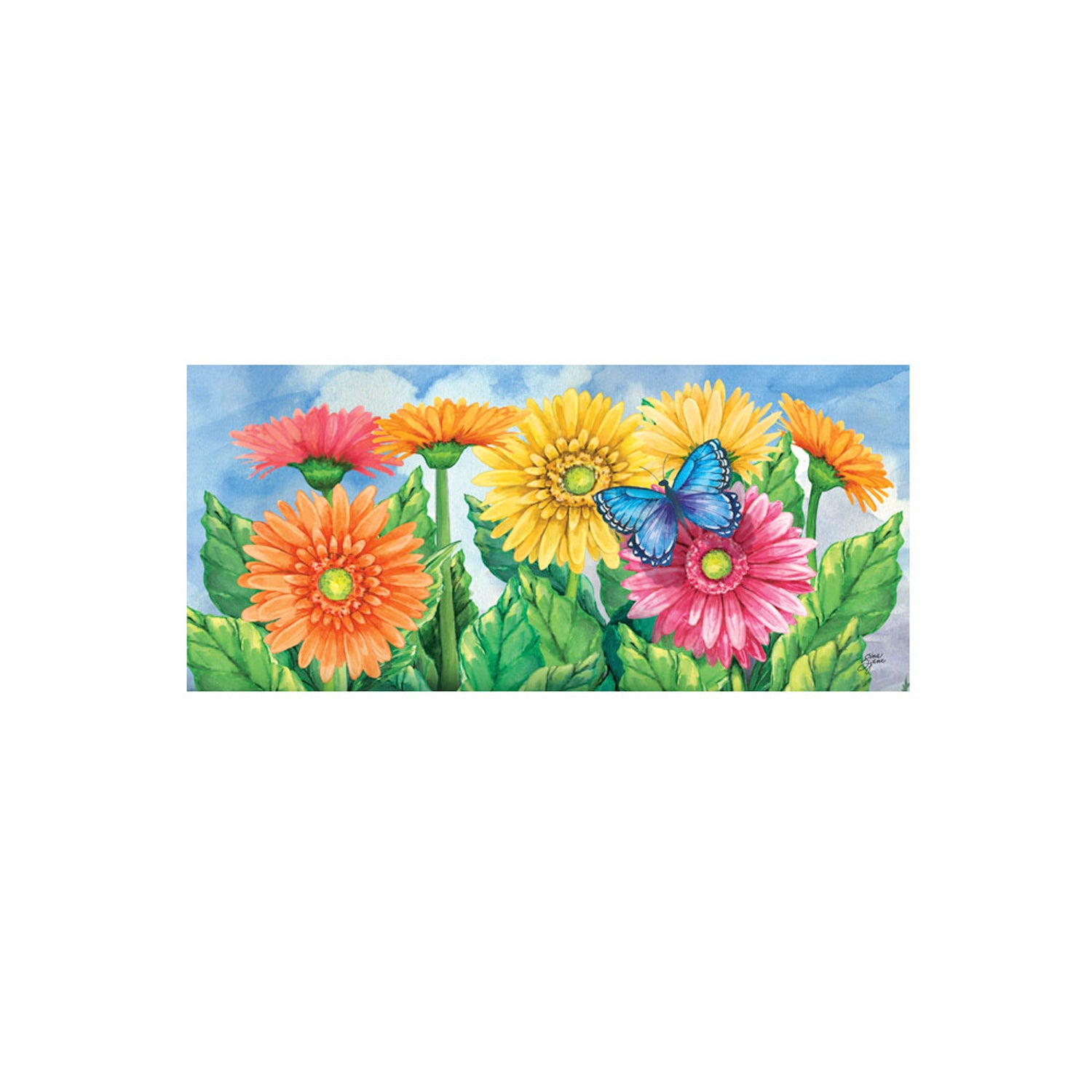 Gerbera Daisies Sassafras Switch Mat