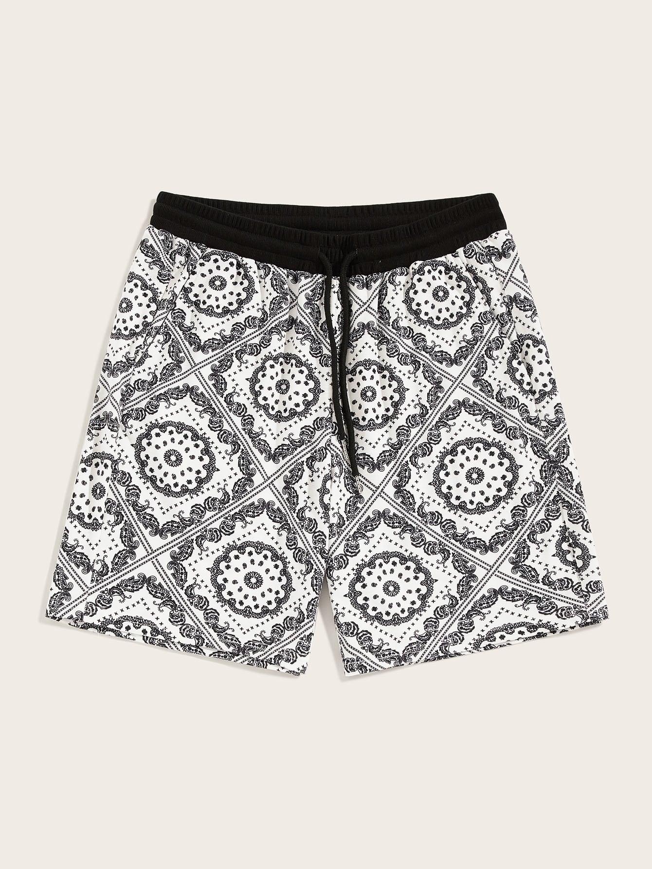 Men Drawstring Waist Aztec Print Shorts