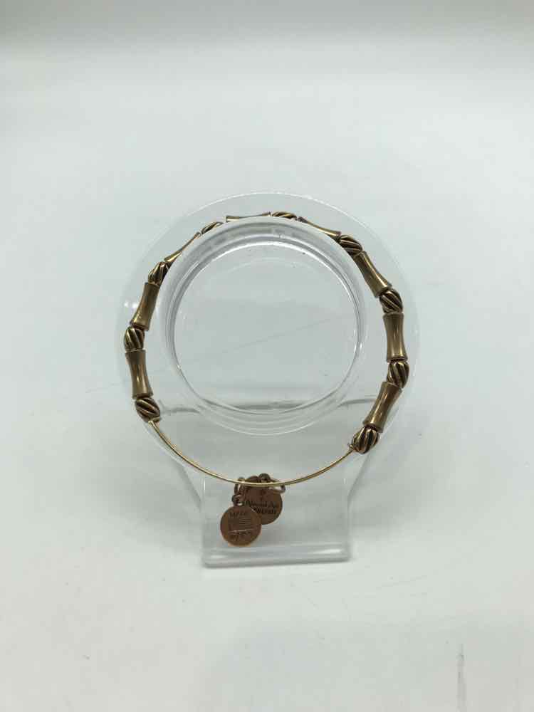 Alex and Ani Brass Charm Bangle