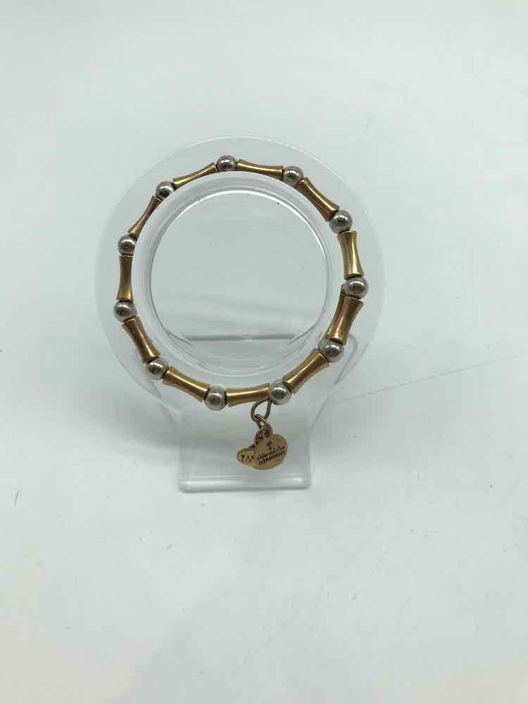 Alex and Ani Brass Charm Bangle