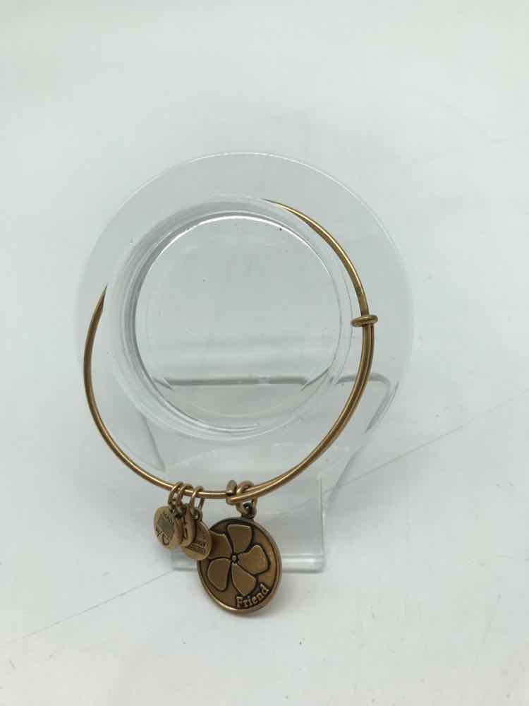 Alex and Ani Brass Charm Bangle