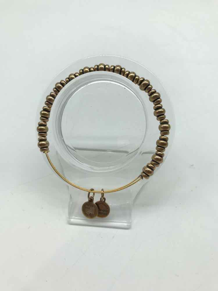 Alex and Ani Brass Charm Bangle