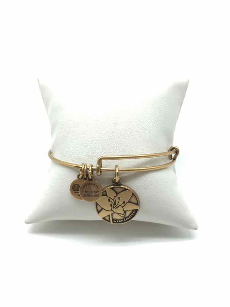 Alex and Ani Gold Bangle Charm Bracelet