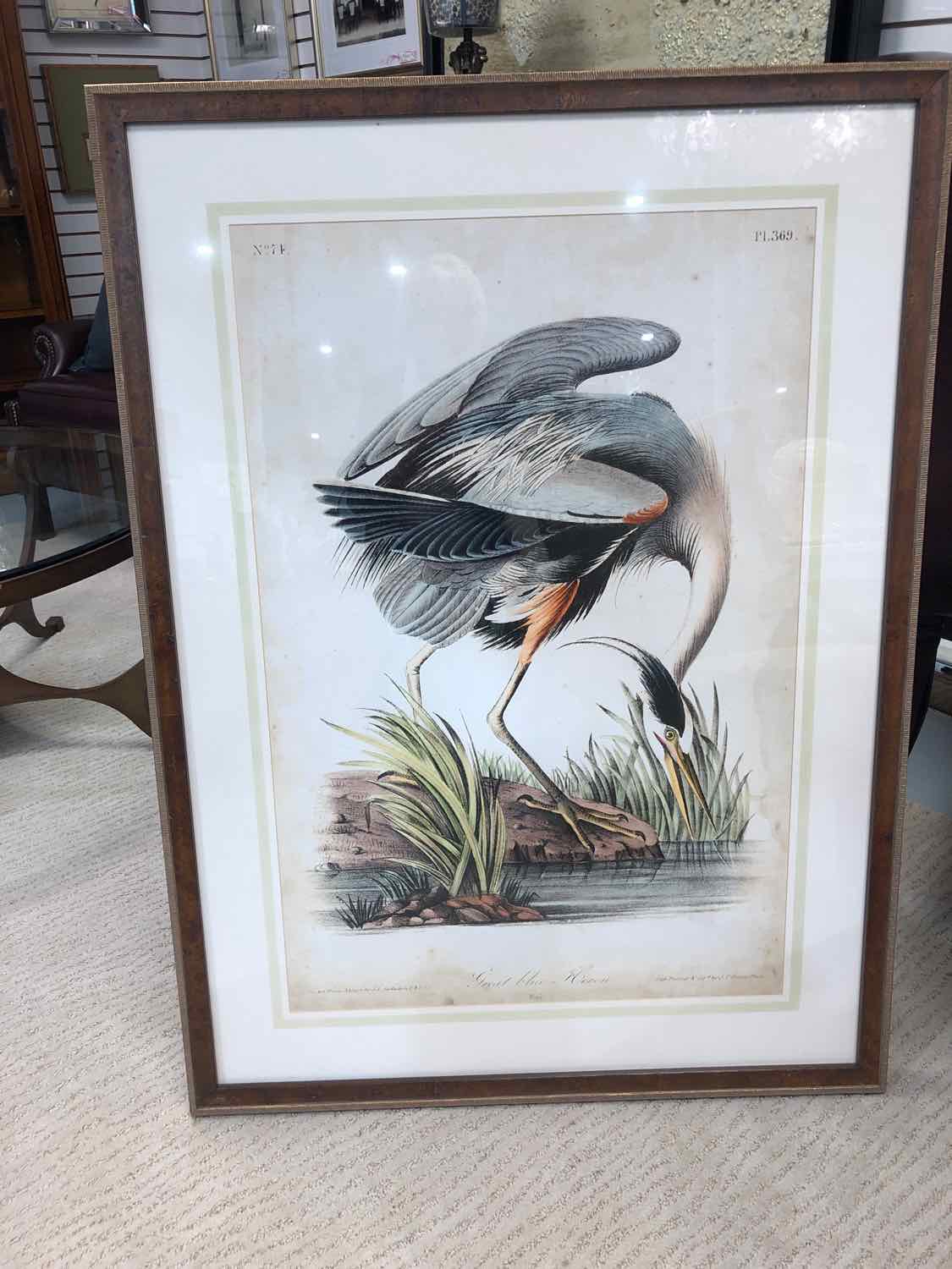 Audobon Great Blue Heron Framed Art Work