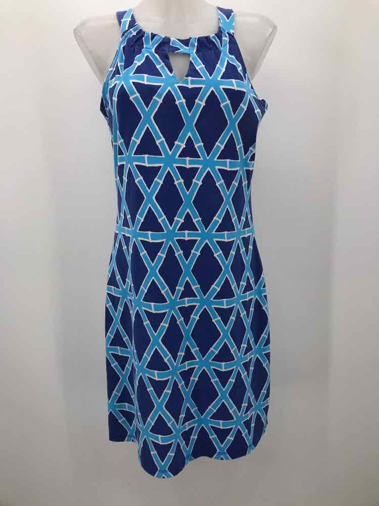 Barbara Erickson Blue Size Small Printed Shift Knee Length Sleeveless Dress