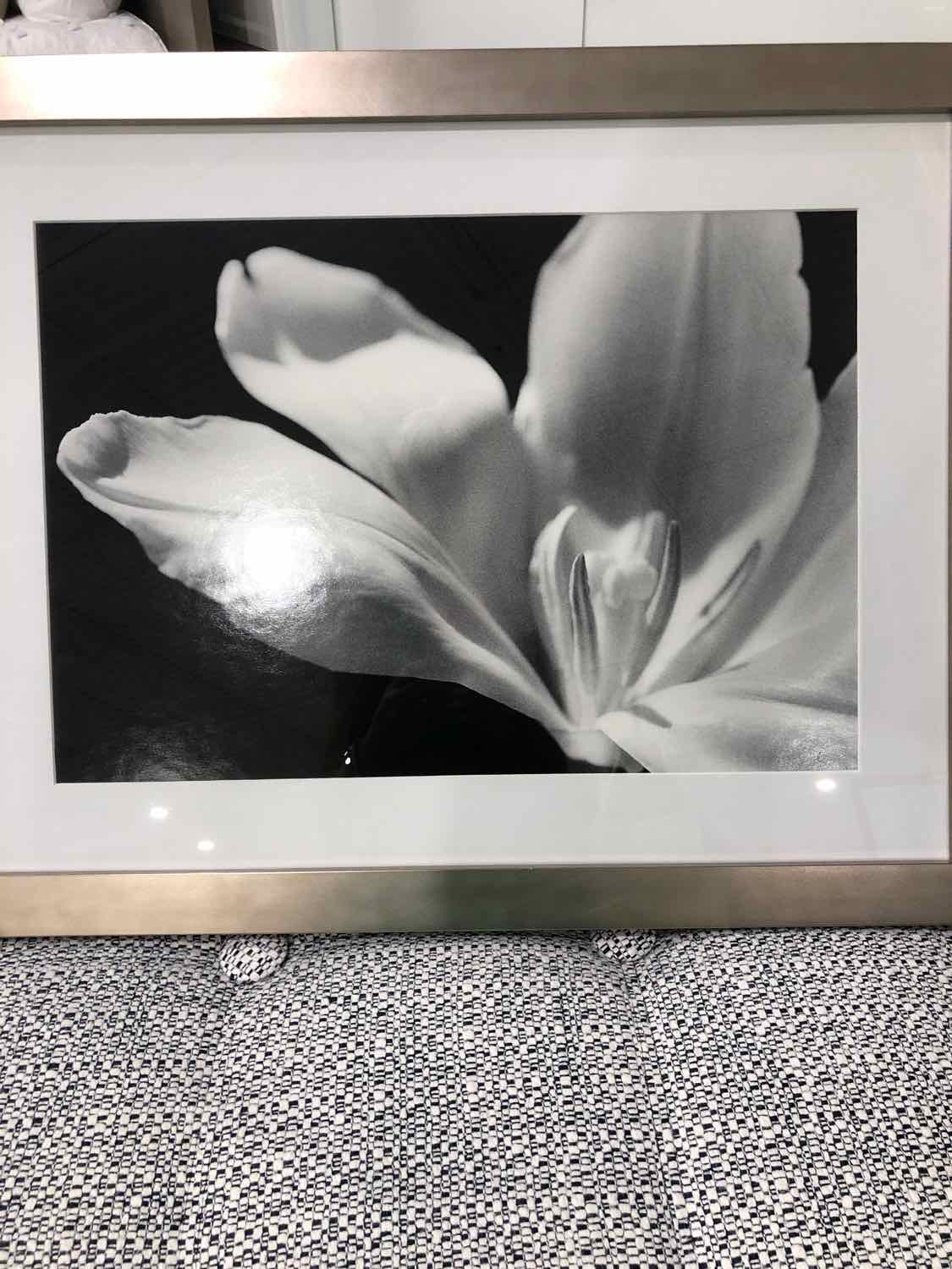 Black Lily Framed Art Work