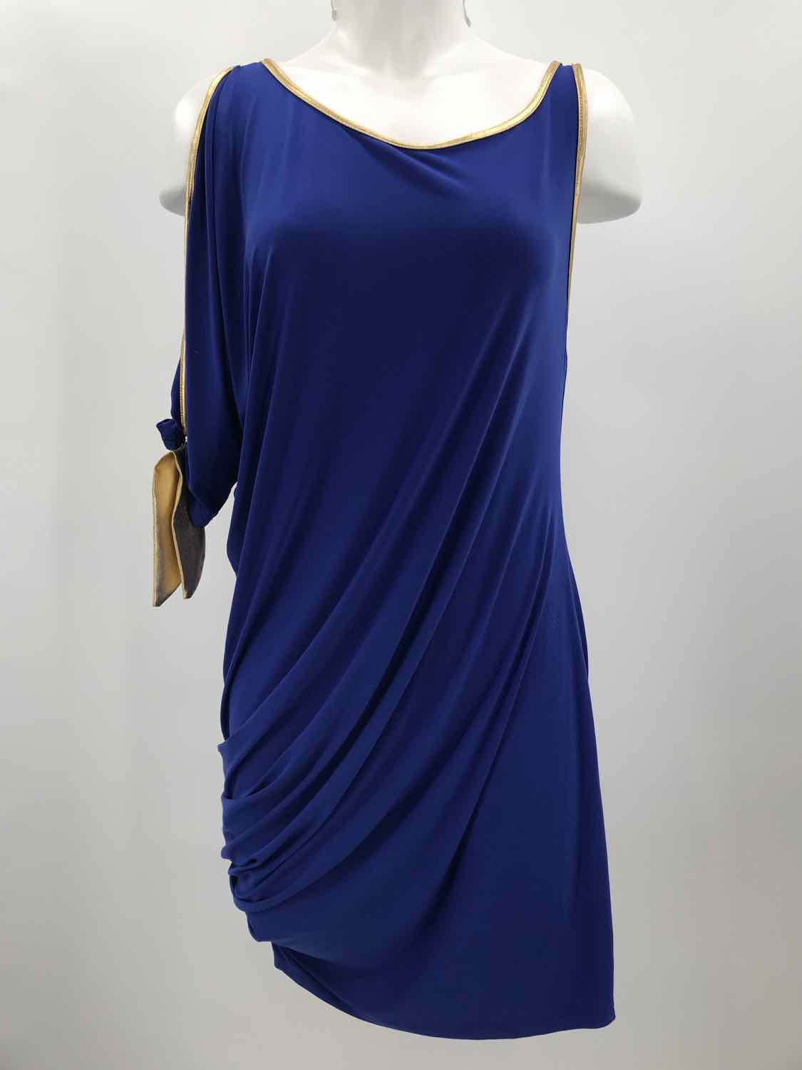 Cameo Blue Size Large Long Sleeve Short One Shoulder Dress