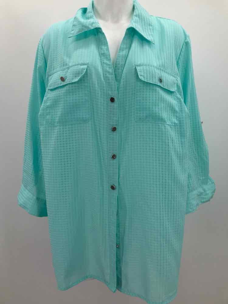 Coral Bay Blue Size 3X Gingham Button Down