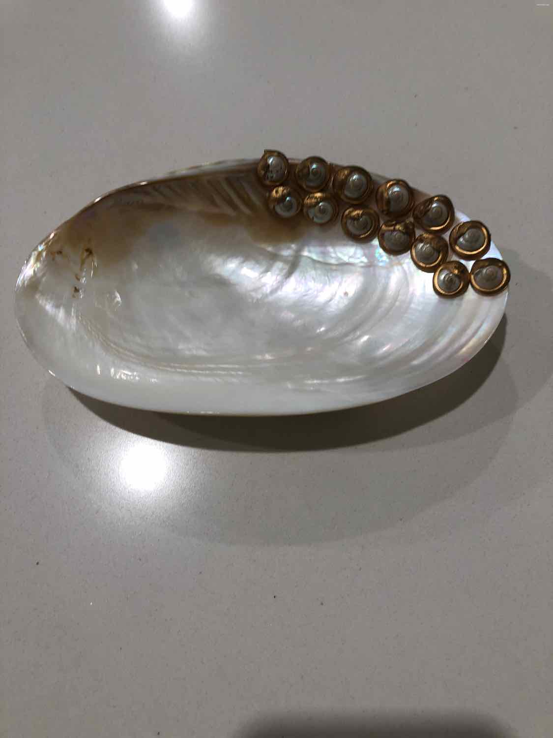 Cream Rivershell Dish with Gold Accent Decorative Accessory