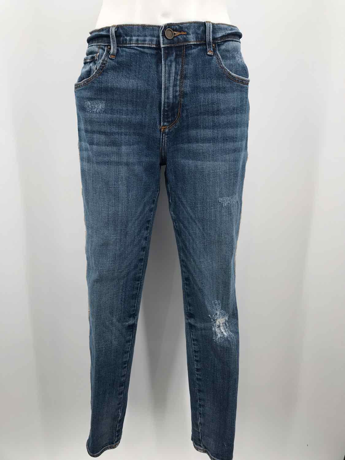 Driftwood Blue Size 31 Paneled Jeans