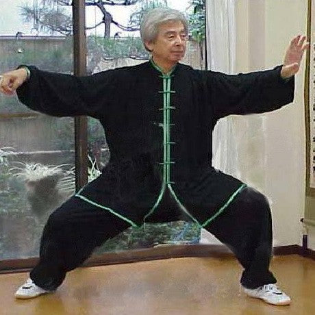 Classic Silk Blend Chinese Kung Fu Suit