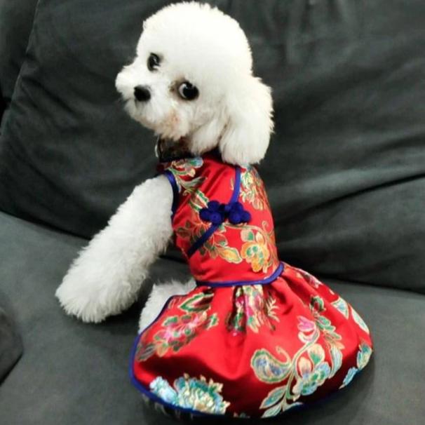 Floral Brocade Traditional Cheongsam Chinese Dress for Dog Teddy